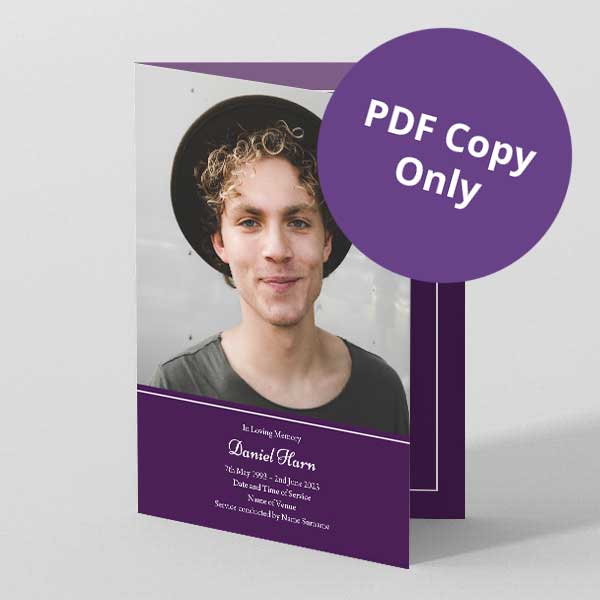Picture of Solid Purple – PDF