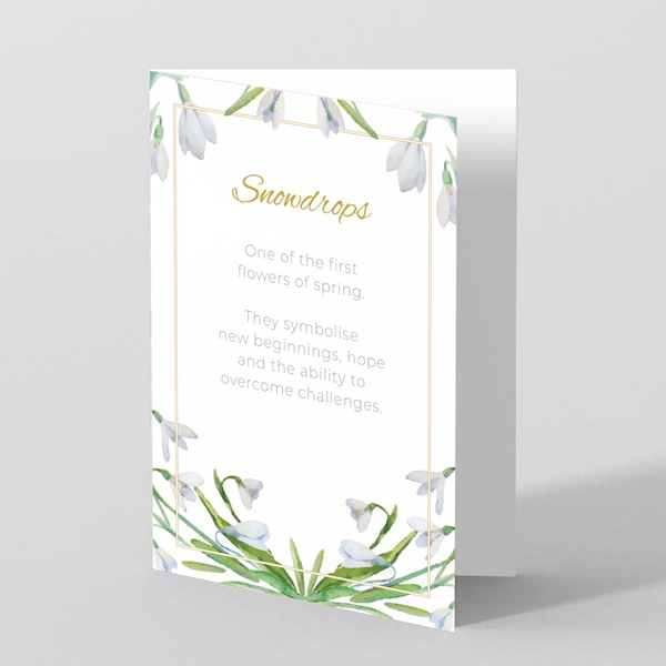 Picture of Snowdrops - Sympathy Card